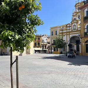 Aloja Sevilla - Calle Pozo Siviglia